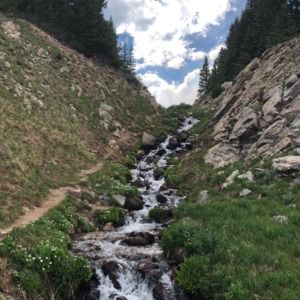 Meet your Posher, Ashten